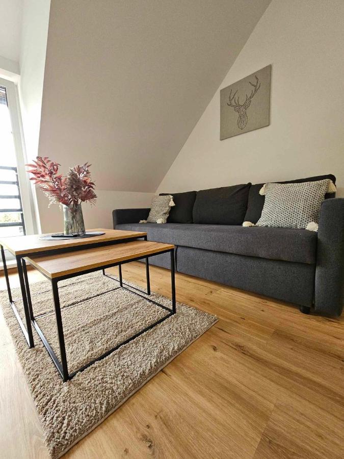 Horsky Apartman Miki Filipovice Exterior foto